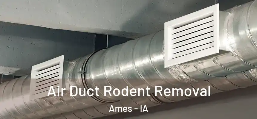 Air Duct Rodent Removal Ames - IA
