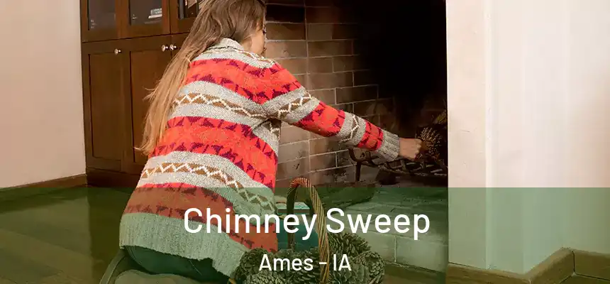 Chimney Sweep Ames - IA