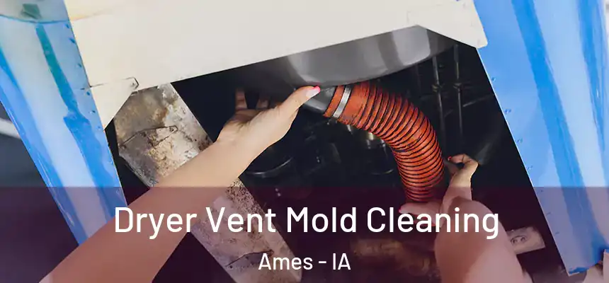 Dryer Vent Mold Cleaning Ames - IA
