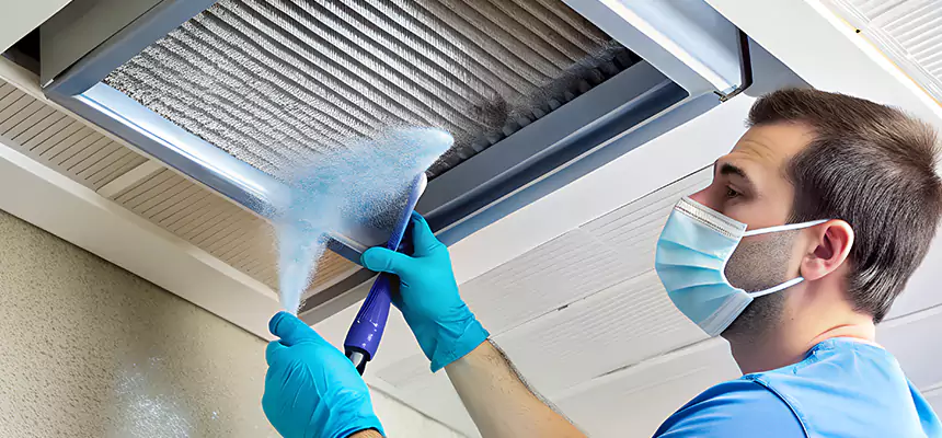 Proactive Dryer Vent & Auxiliary Duct Pollen Cleanup in Ames, IA