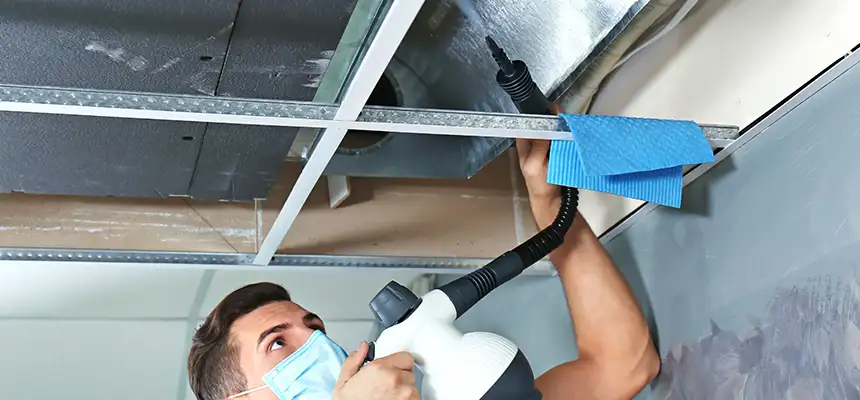 Our Air Duct Rodent Removal Services in Ames, IA