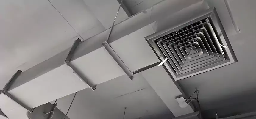 Restorative Allergy Relief Vent Cleaning – Coil, Blower & Housing Detail in Ames