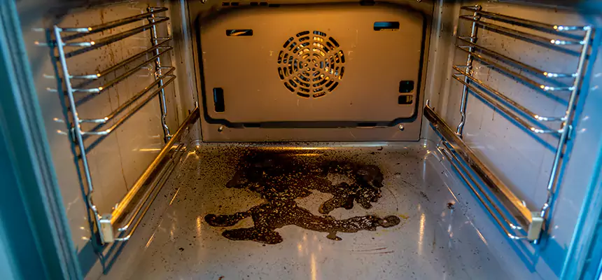 Our Dryer Vent Mold Cleaning Services in Ames, IA