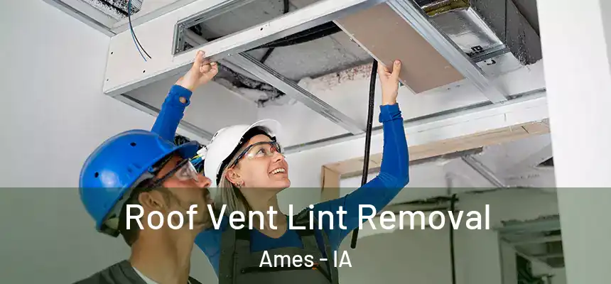  Roof Vent Lint Removal Ames - IA