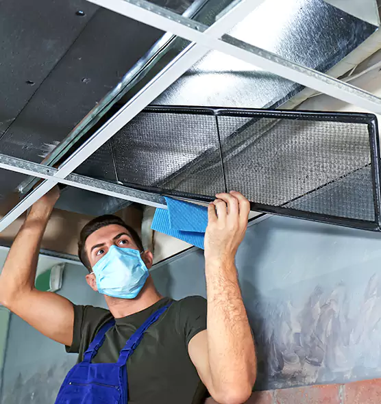 Professional Air Duct Pollen Cleaning in Ames, IA