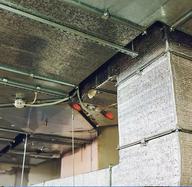 Why Homeowners & Businesses Trust Us in Ames, IA?