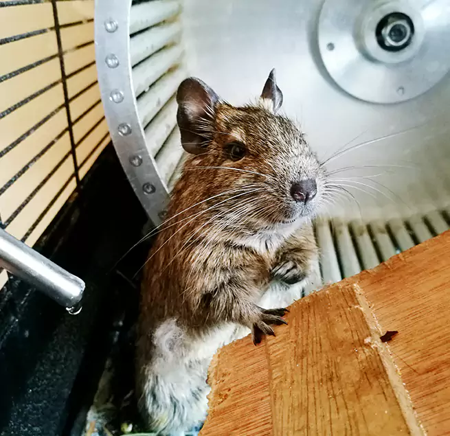 Why Homeowners & Businesses Trust Us Ames, IA