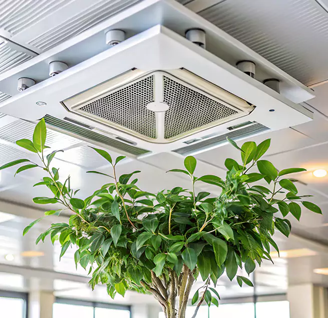 Why Homeowners & Businesses Trust Us in Ames, IA